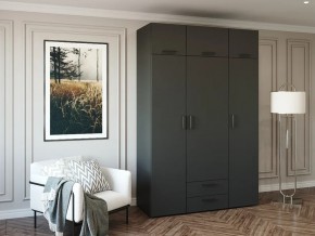 Шкаф распашной 1500А Антрацит в Бакале - bakal.magazin-mebel74.ru | фото