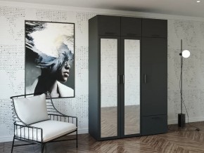 Шкаф распашной 1500А Антрацит Зеркало в Бакале - bakal.magazin-mebel74.ru | фото