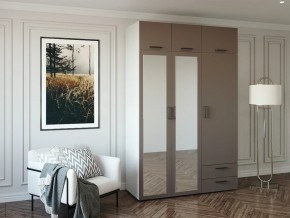 Шкаф распашной 1500Б Мокко Зеркало в Бакале - bakal.magazin-mebel74.ru | фото