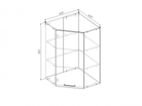 ВУ9 Модуль верхний Угловой в Бакале - bakal.magazin-mebel74.ru | фото